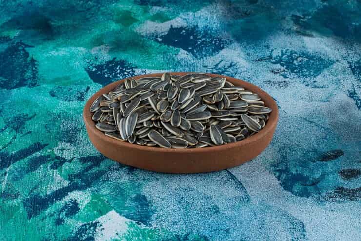 قیمت خرید تخمه آفتابگردان خام + فروش ویژه